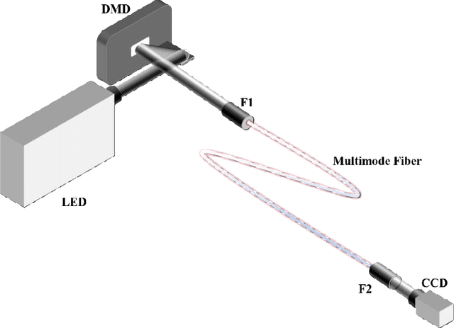 Figure 2 for Flexible single multimode fiber imaging using white LED