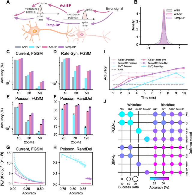 Figure 2 for Spike timing reshapes robustness against attacks in spiking neural networks
