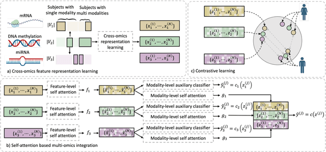 Figure 1 for CLCLSA: Cross-omics Linked embedding with Contrastive Learning and Self Attention for multi-omics integration with incomplete multi-omics data