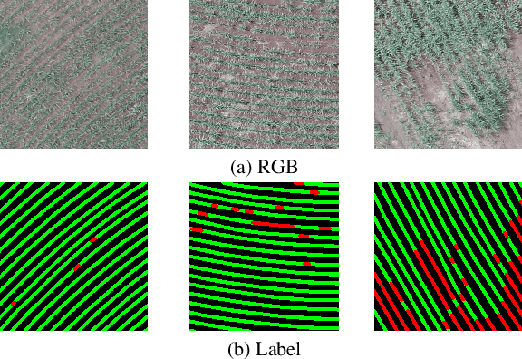 Figure 3 for MTLSegFormer: Multi-task Learning with Transformers for Semantic Segmentation in Precision Agriculture