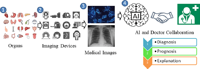 Figure 1 for Is Grad-CAM Explainable in Medical Images?