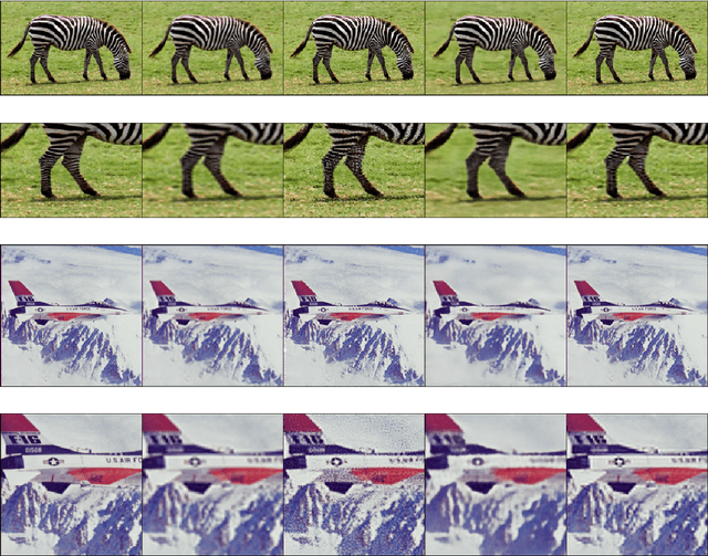 Figure 3 for Deep Nonparametric Convexified Filtering for Computational Photography, Image Synthesis and Adversarial Defense
