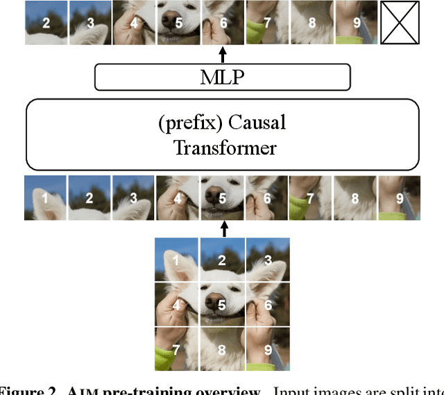 Figure 2 for Scalable Pre-training of Large Autoregressive Image Models