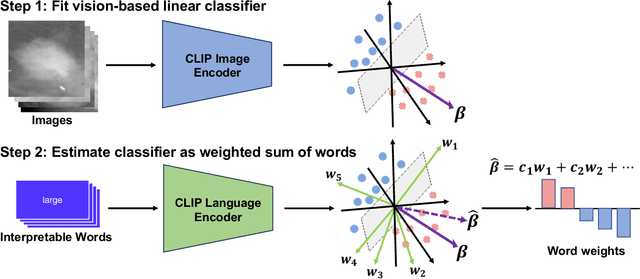 Figure 1 for Representing visual classification as a linear combination of words