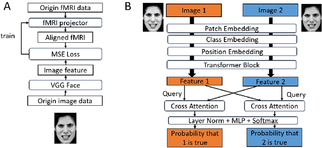 Figure 1 for Double-Flow GAN model for the reconstruction of perceived faces from brain activities