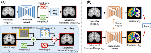 Figure 4 for AdLER: Adversarial Training with Label Error Rectification for One-Shot Medical Image Segmentation