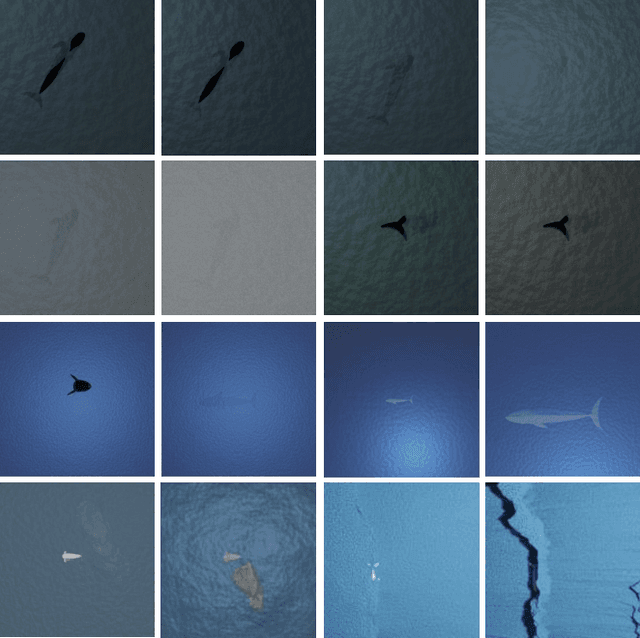 Figure 3 for Whale Detection Enhancement through Synthetic Satellite Images