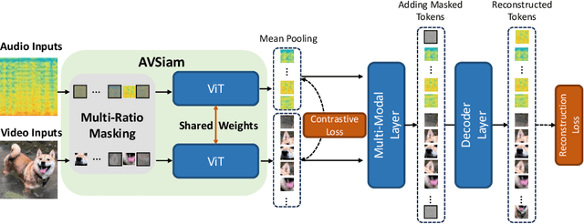 Figure 3 for Siamese Vision Transformers are Scalable Audio-visual Learners