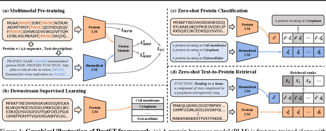 Figure 1 for ProtST: Multi-Modality Learning of Protein Sequences and Biomedical Texts