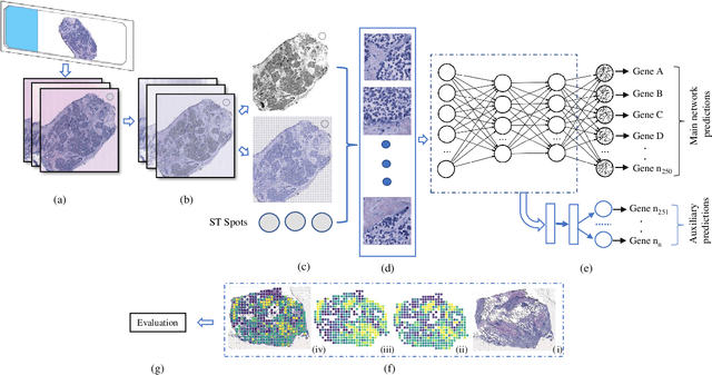 Figure 1 for Breast Cancer Histopathology Image based Gene Expression Prediction using Spatial Transcriptomics data and Deep Learning
