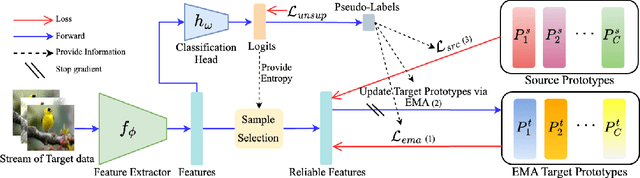 Figure 3 for Mitigating the Bias in the Model for Continual Test-Time Adaptation