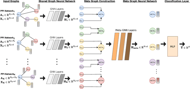 Figure 1 for Explainable Multilayer Graph Neural Network for Cancer Gene Prediction