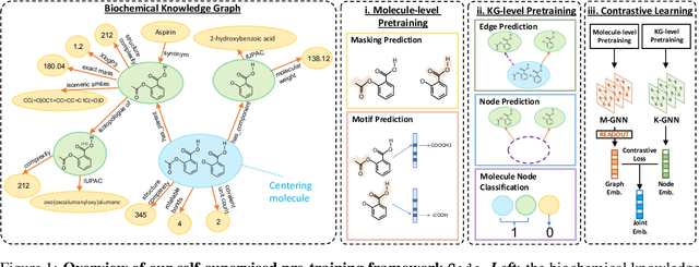 Figure 1 for Gode -- Integrating Biochemical Knowledge Graph into Pre-training Molecule Graph Neural Network