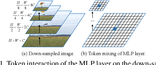 Figure 1 for Strip-MLP: Efficient Token Interaction for Vision MLP