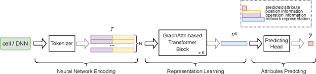 Figure 3 for NAR-Former V2: Rethinking Transformer for Universal Neural Network Representation Learning