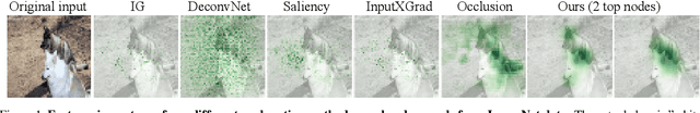 Figure 1 for Causal Analysis for Robust Interpretability of Neural Networks