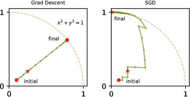 Figure 1 for The Effect of SGD Batch Size on Autoencoder Learning: Sparsity, Sharpness, and Feature Learning