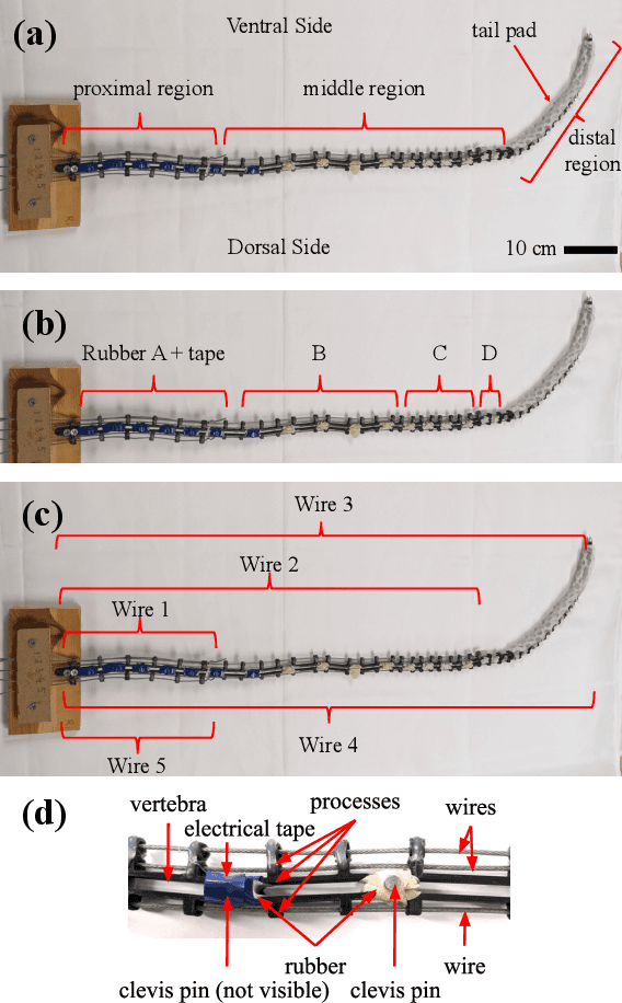 Figure 3 for Hybrid Soft-Rigid Continuum Robot Inspired by Spider Monkey Tail