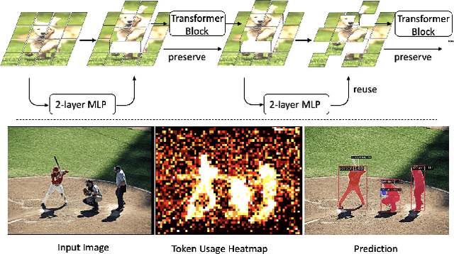 Figure 1 for Revisiting Token Pruning for Object Detection and Instance Segmentation