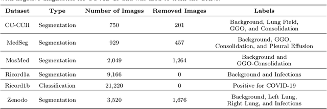 Figure 2 for DACov: A Deeper Analysis of Data Augmentation on the Computed Tomography Segmentation Problem
