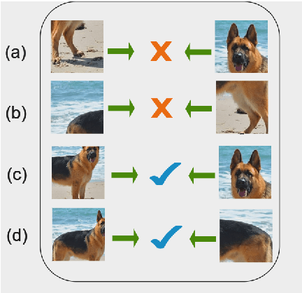 Figure 1 for LeOCLR: Leveraging Original Images for Contrastive Learning of Visual Representations