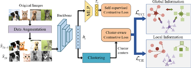 Figure 1 for Cluster-aware Contrastive Learning for Unsupervised Out-of-distribution Detection