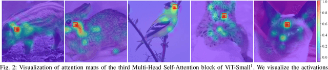 Figure 2 for DilateFormer: Multi-Scale Dilated Transformer for Visual Recognition
