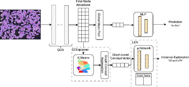 Figure 3 for Digital Histopathology with Graph Neural Networks: Concepts and Explanations for Clinicians