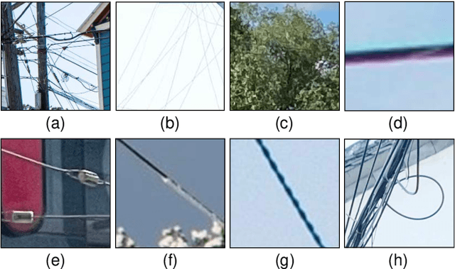 Figure 2 for Automatic High Resolution Wire Segmentation and Removal
