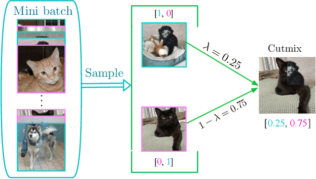 Figure 4 for A Survey of Mix-based Data Augmentation: Taxonomy, Methods, Applications, and Explainability