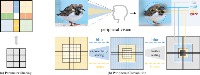 Figure 1 for PeLK: Parameter-efficient Large Kernel ConvNets with Peripheral Convolution
