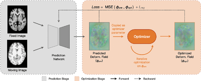 Figure 3 for Optron: Better Medical Image Registration via Training in the Loop