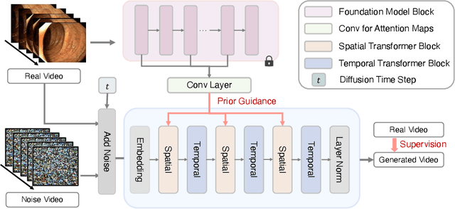 Figure 1 for Endora: Video Generation Models as Endoscopy Simulators