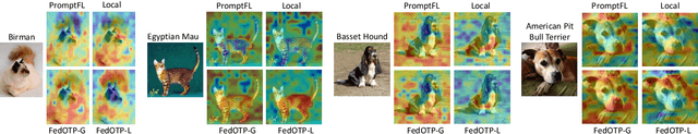 Figure 4 for Global and Local Prompts Cooperation via Optimal Transport for Federated Learning
