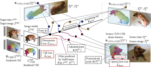 Figure 4 for Common Pets in 3D: Dynamic New-View Synthesis of Real-Life Deformable Categories