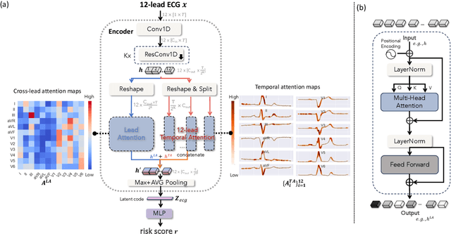 Figure 1 for Large Language Model-informed ECG Dual Attention Network for Heart Failure Risk Prediction