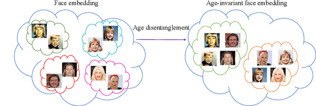 Figure 1 for Age-Invariant Face Embedding using the Wasserstein Distance
