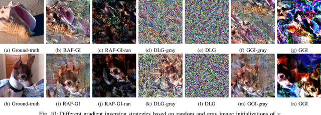 Figure 2 for RAF-GI: Towards Robust, Accurate and Fast-Convergent Gradient Inversion Attack in Federated Learning