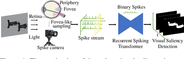 Figure 1 for Finding Visual Saliency in Continuous Spike Stream