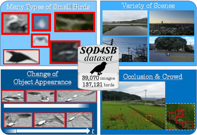 Figure 1 for MVA2023 Small Object Detection Challenge for Spotting Birds: Dataset, Methods, and Results