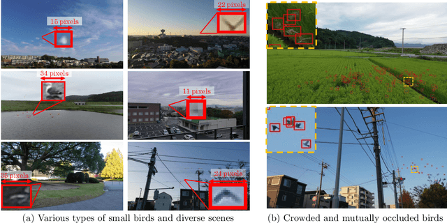 Figure 3 for MVA2023 Small Object Detection Challenge for Spotting Birds: Dataset, Methods, and Results