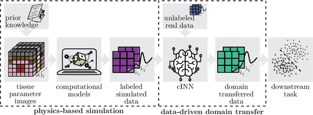 Figure 1 for Unsupervised Domain Transfer with Conditional Invertible Neural Networks