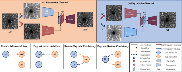 Figure 4 for Unpaired Optical Coherence Tomography Angiography Image Super-Resolution via Frequency-Aware Inverse-Consistency GAN