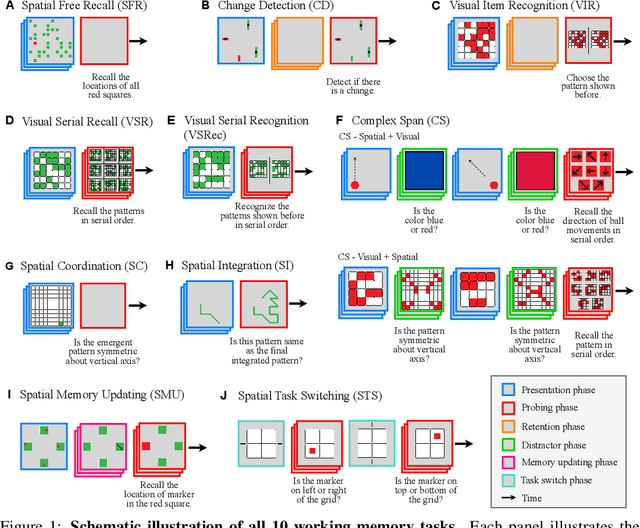 Figure 1 for Decoding the Enigma: Benchmarking Humans and AIs on the Many Facets of Working Memory