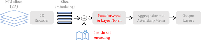 Figure 1 for Transferring Models Trained on Natural Images to 3D MRI via Position Encoded Slice Models