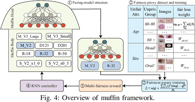 Figure 4 for Muffin: A Framework Toward Multi-Dimension AI Fairness by Uniting Off-the-Shelf Models