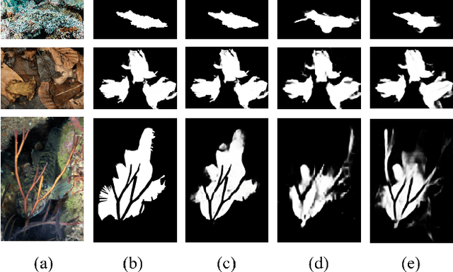 Figure 1 for Frequency Perception Network for Camouflaged Object Detection