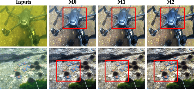 Figure 4 for UIERL: Internal-External Representation Learning Network for Underwater Image Enhancement