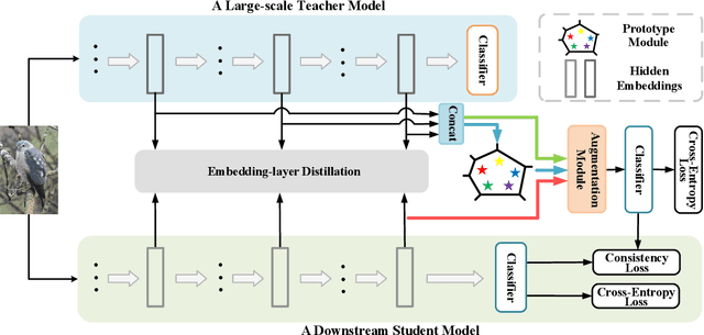 Figure 3 for Prototype-guided Cross-task Knowledge Distillation for Large-scale Models