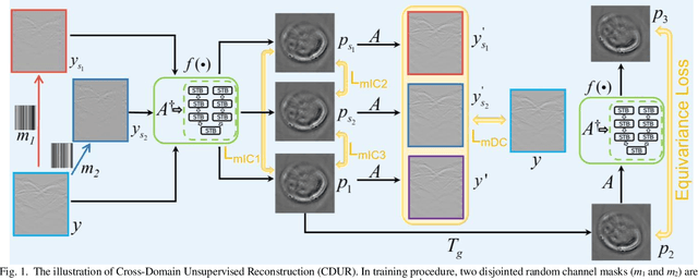 Figure 1 for Cross-domain Unsupervised Reconstruction with Equivariance for Photoacoustic Computed Tomography